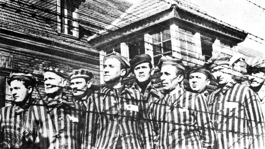 A Liberta O Do Matadouro De Auschwitz Escritor Ruy C Mara