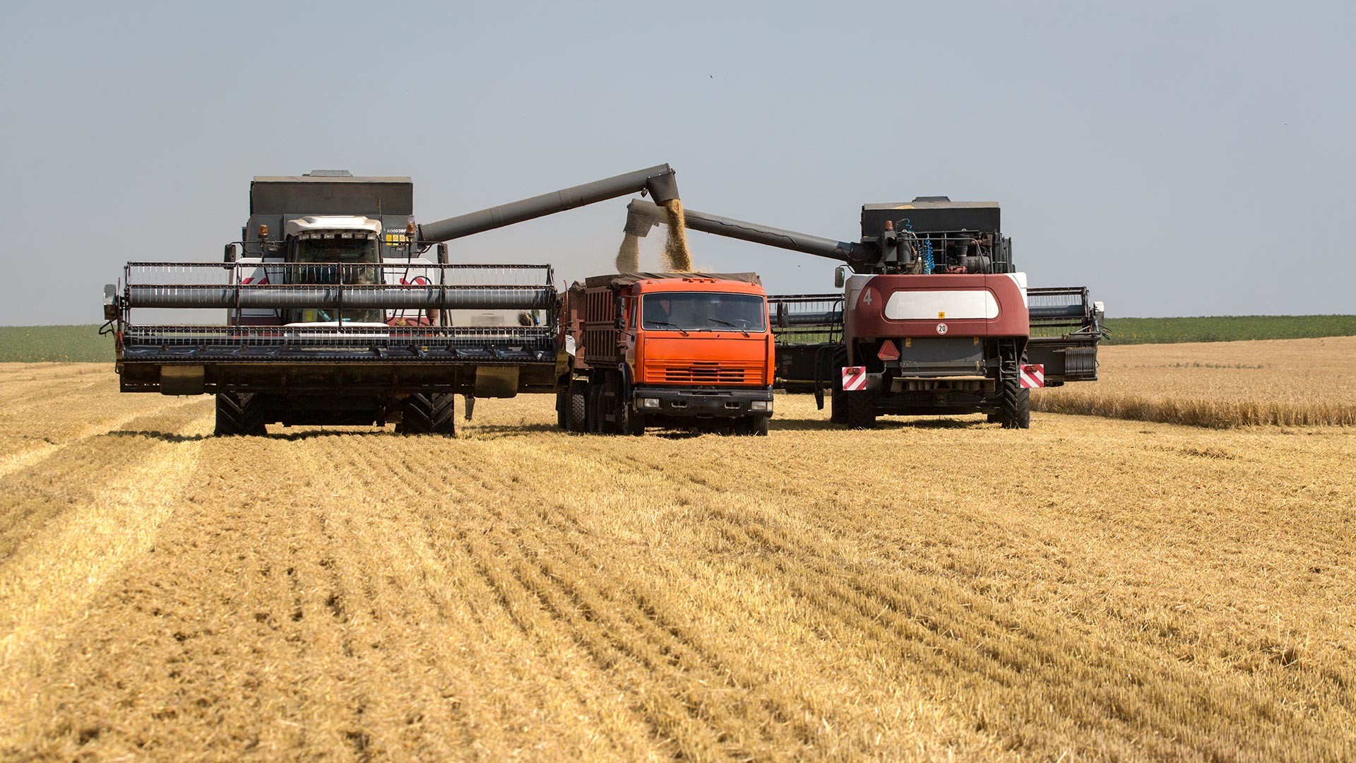 How Russia Became The Worlds Leading Wheat Exporter Russia Beyond