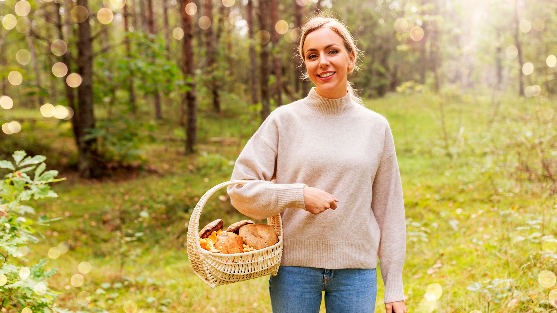 Женщина с корзиной грибы в лесу