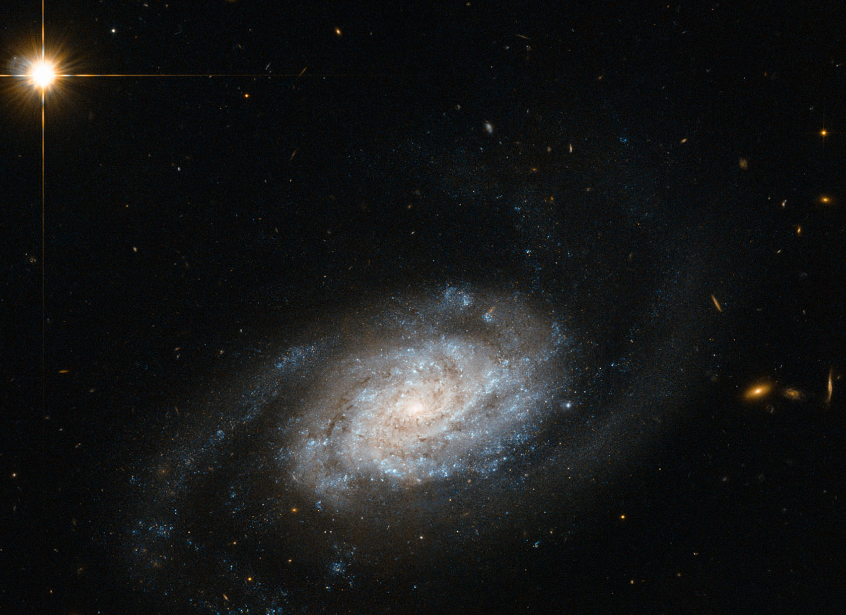 Galaksi NGC 3370. Sumber: NASA, ESA