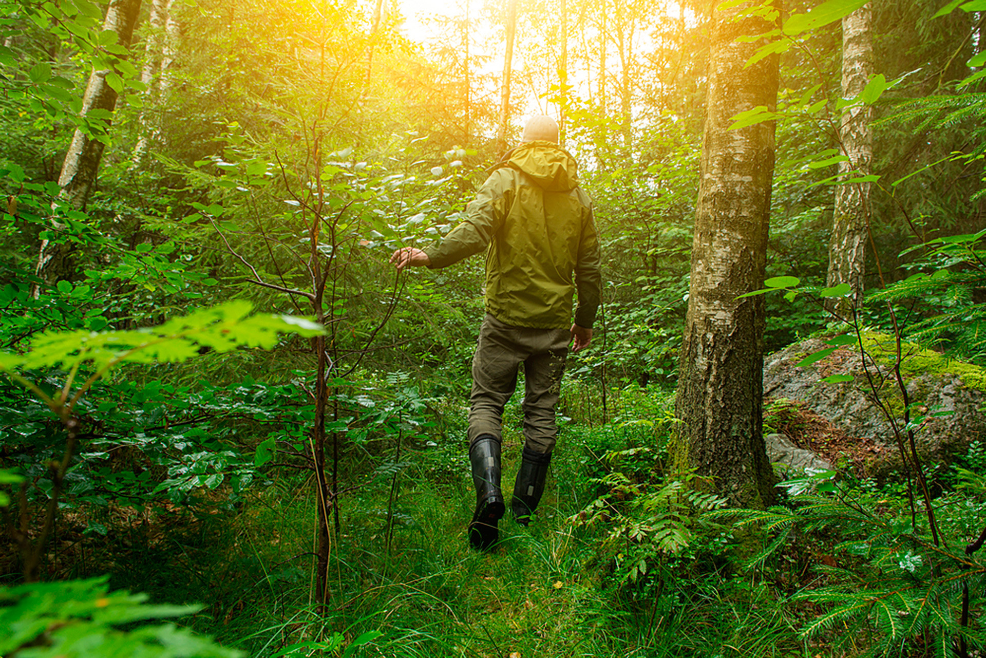 How To Pick Mushrooms Like A Professional: Advice From An Experienced 