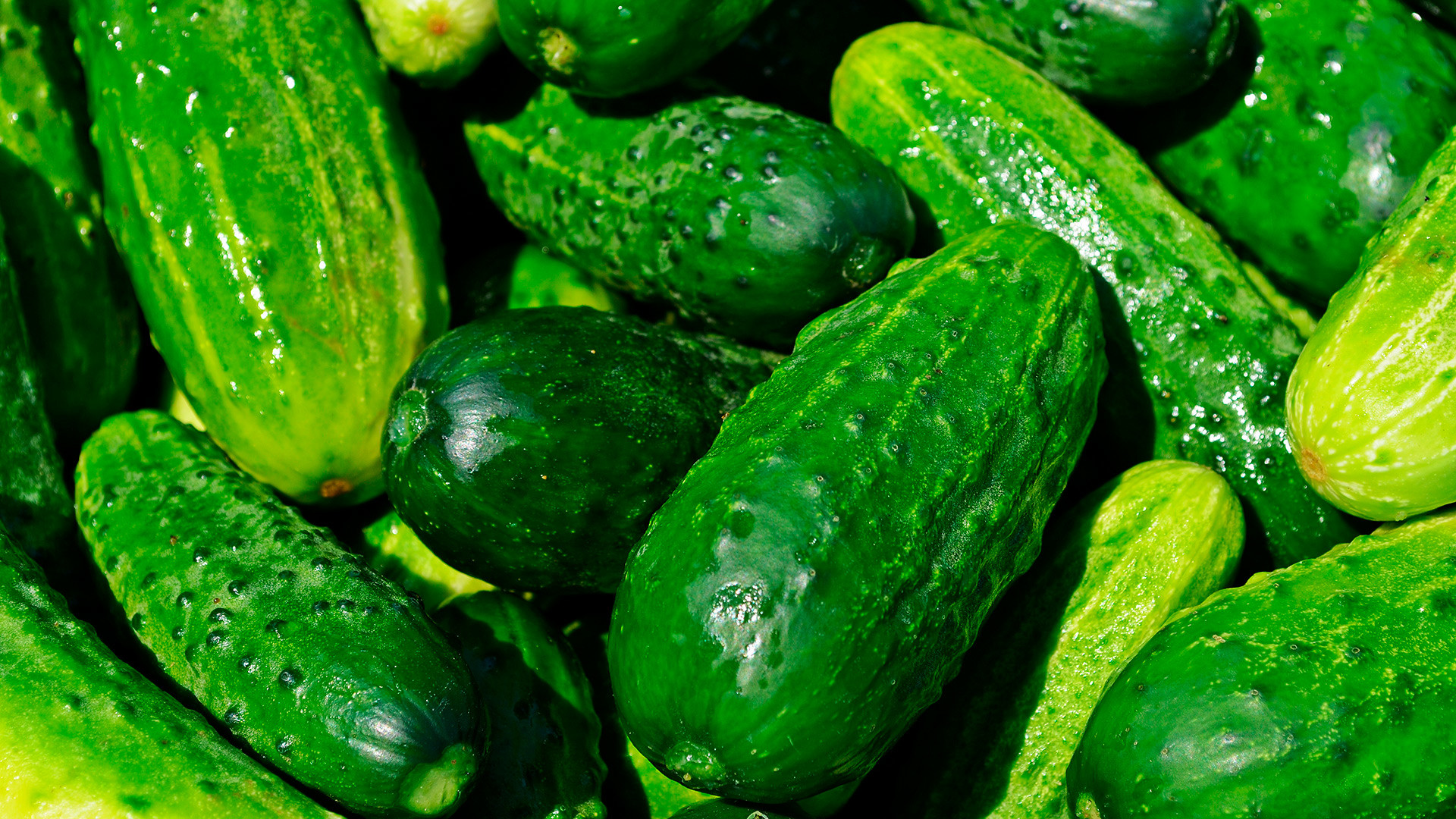 bere alcolici durante la dieta hcg