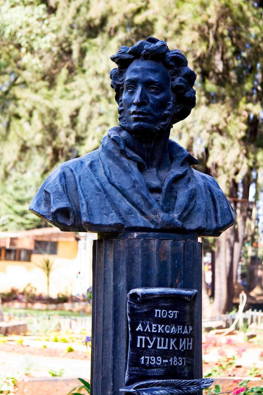 Arap is a native of Ethiopia. The work of Pushkin Arap of Peter the Great Arap is a native of Ethiopia. The work of Pushkin Arap of Peter the Great