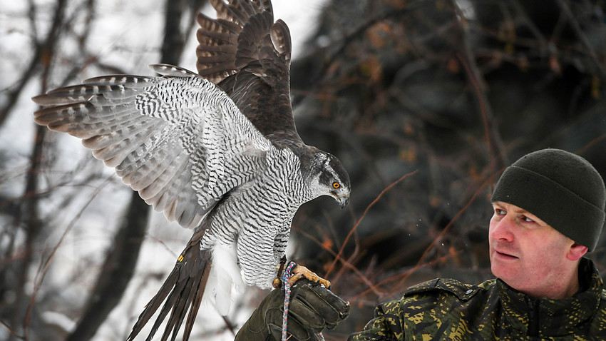 Why A Special Division Of Birds Of Prey Guards The Kremlin