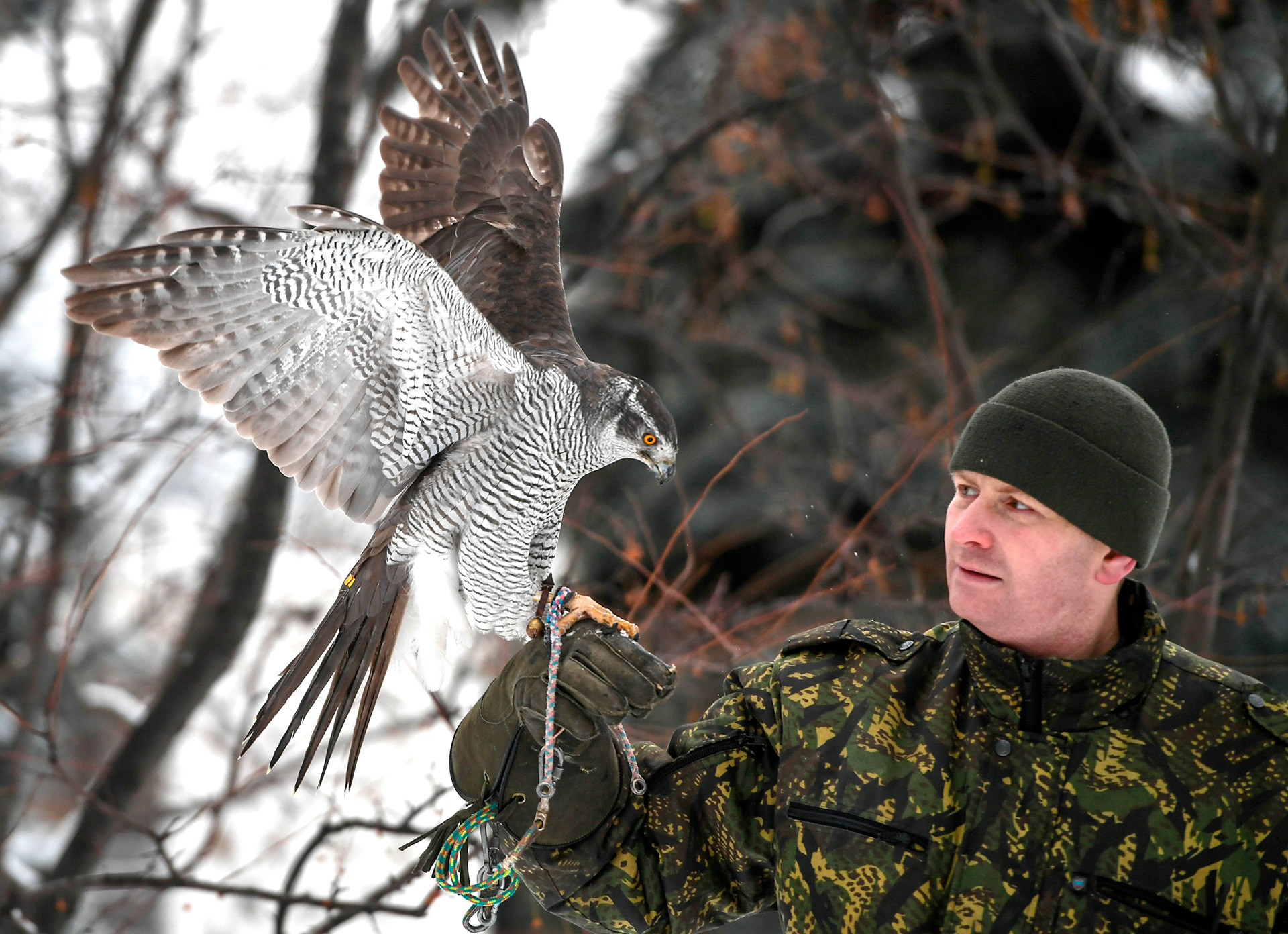 なぜ 猛禽部隊 がクレムリンを守っているのか 首都の心臓の敵 それは ロシア ビヨンド