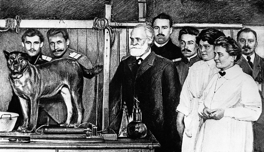 犬も歩けば人気者 ロシア文化で最も有名な犬7選 ロシア ビヨンド