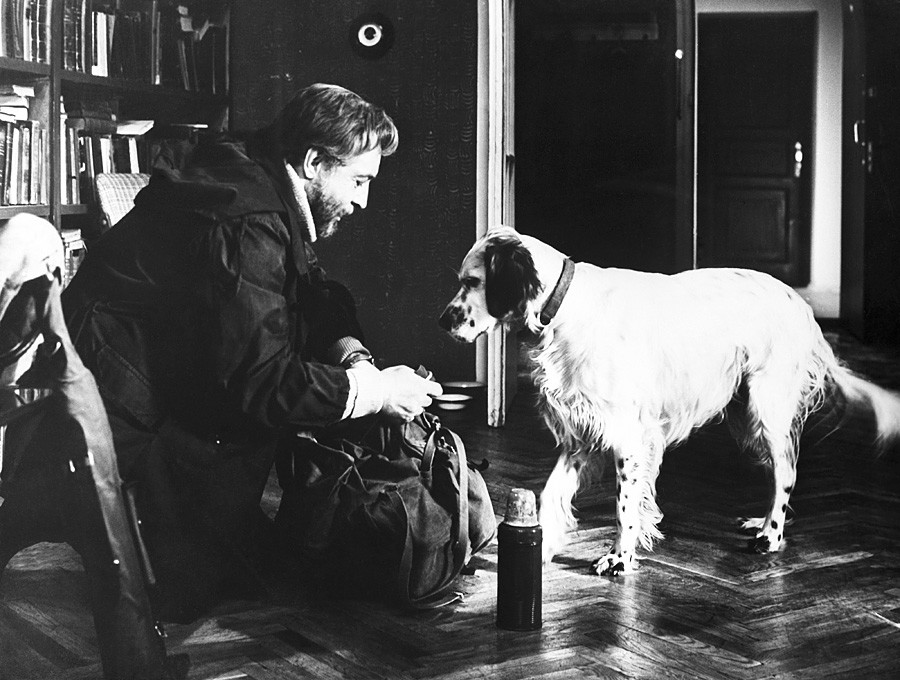 犬も歩けば人気者 ロシア文化で最も有名な犬7選 ロシア ビヨンド