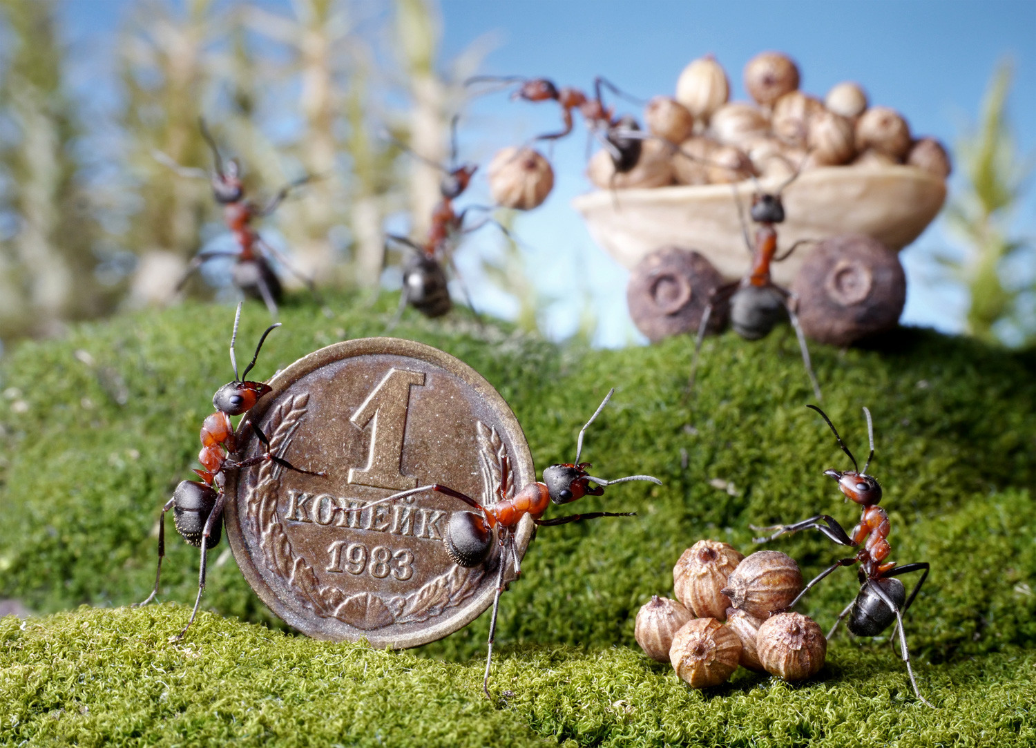 Insect antics Russian photographer snaps stunning pics of complex creatures Russia Beyond