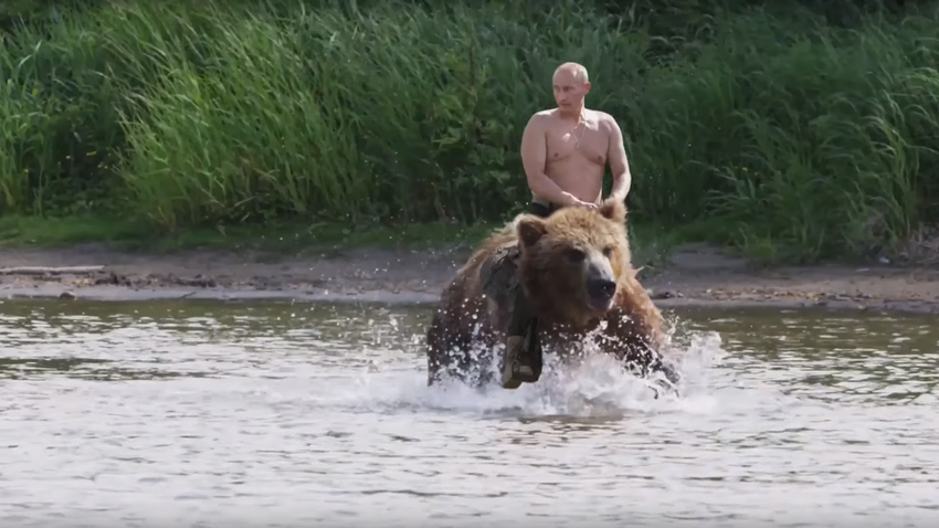 Watch Vladimir Putin meet bears and go fishing in Russia’s Far East