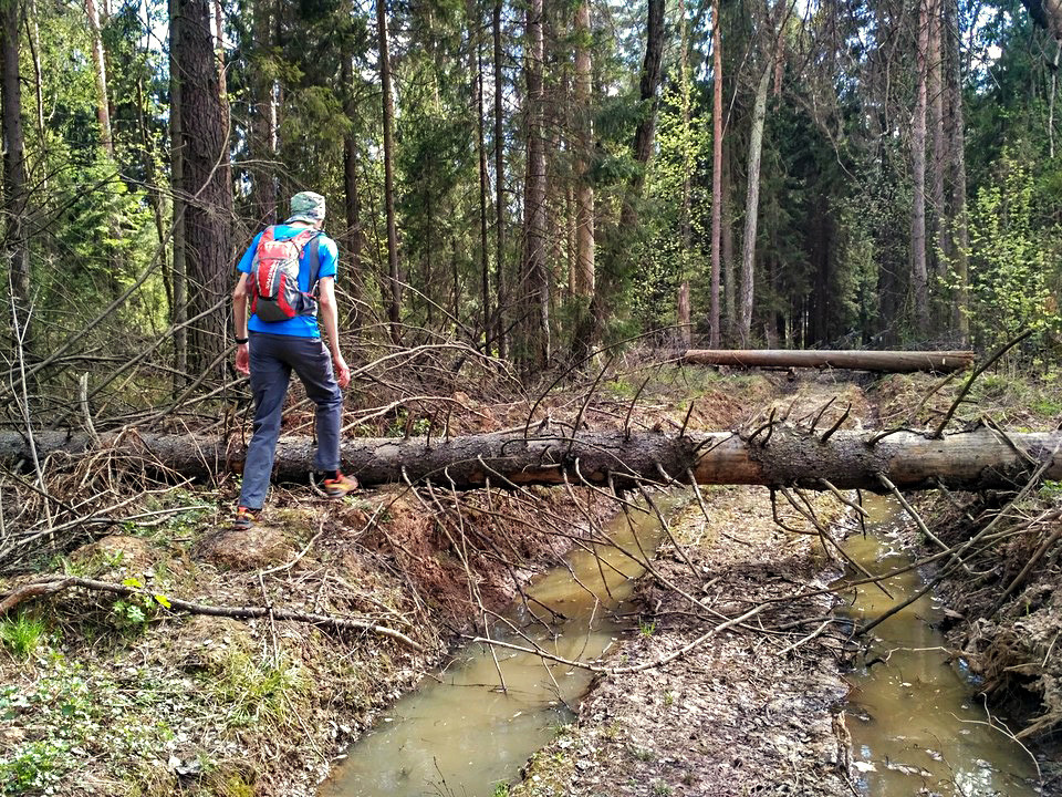 5 Moscow hiking trails that make for great adventure Russia Beyond