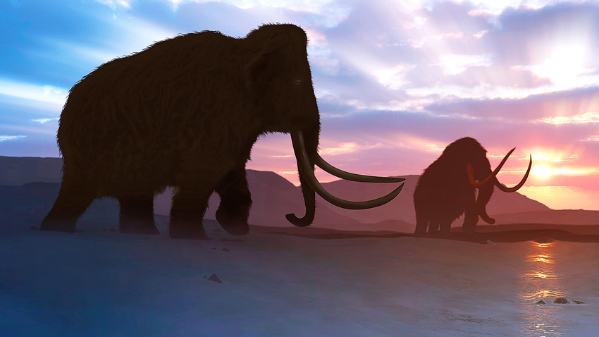 Why Did Mammoths Go Extinct Scientists Are Close To Solving - 