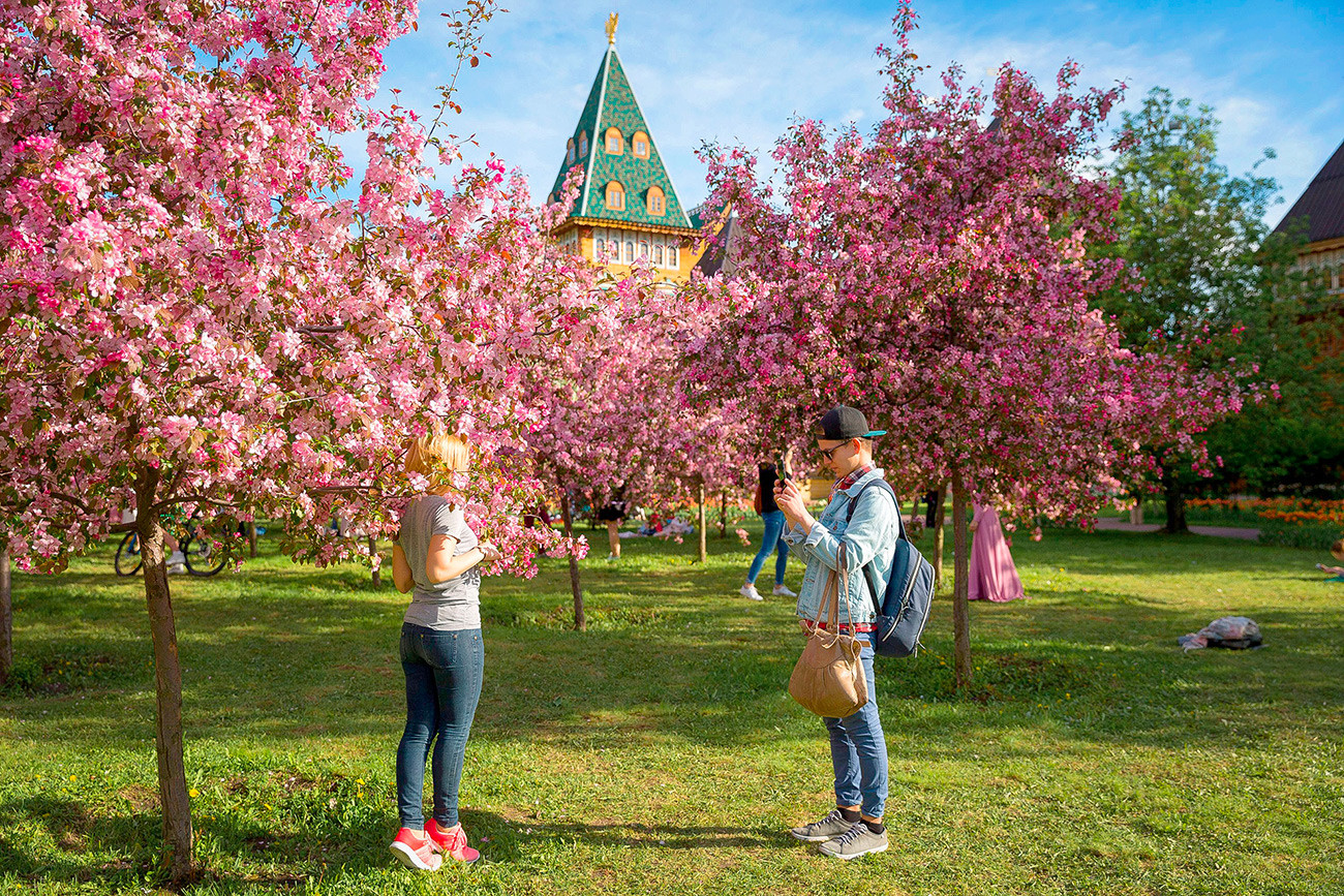 Екатерининский парк в москве фото яблони