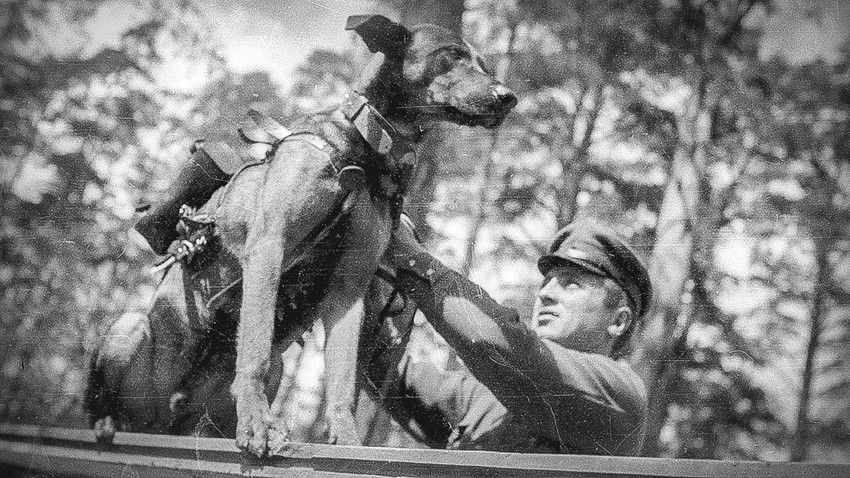 Perros antitanque de Rusia