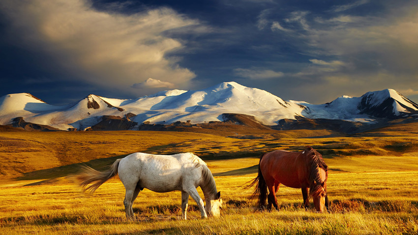 The Ukok Plateau: Altai’s Princess at the crossroads of ancient ...