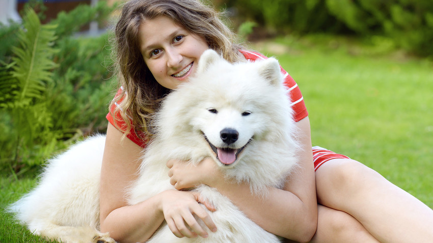 Zuchter Oder Tierheim Wie Man Sich In Russland Einen Hund Zulegt Russia Beyond De