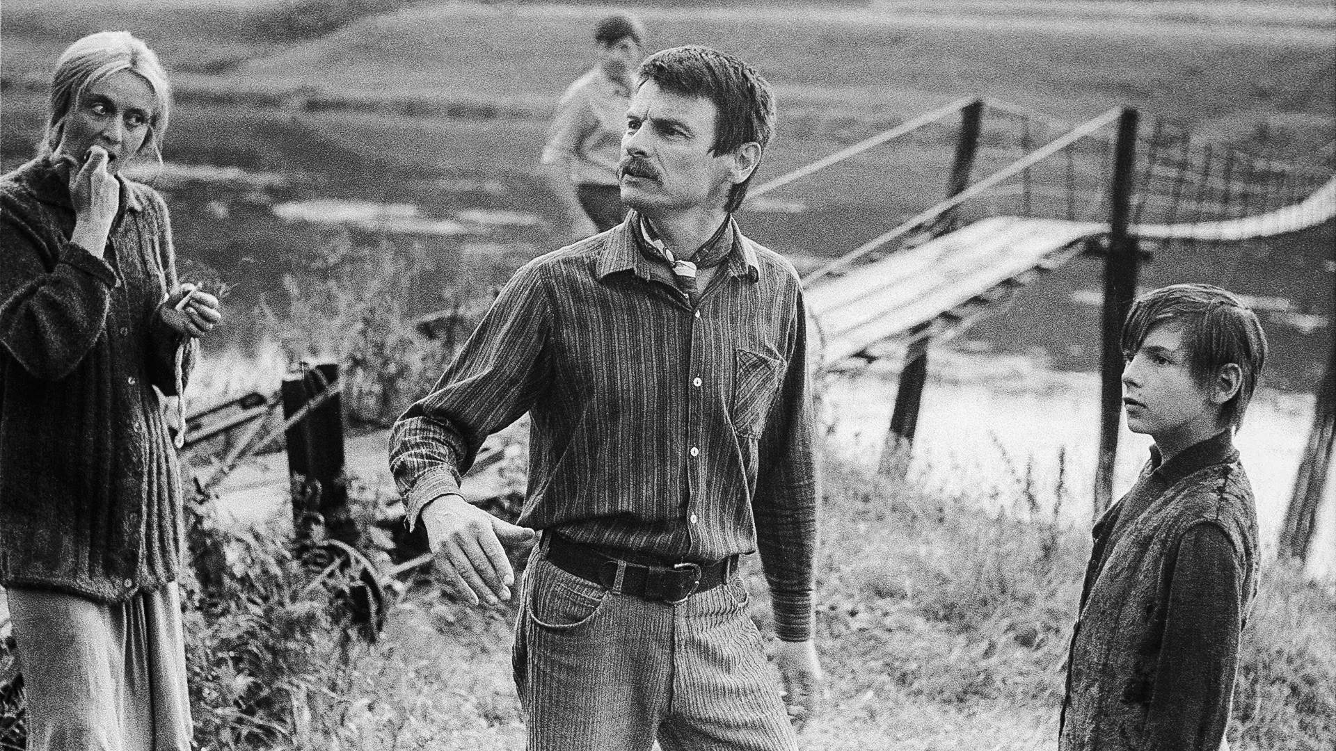 Andrei Tarkovsky solaris