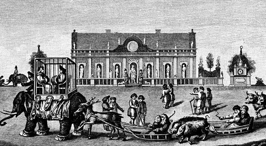Los elefantes durante la boda en la Casa de Hielo, 1740.