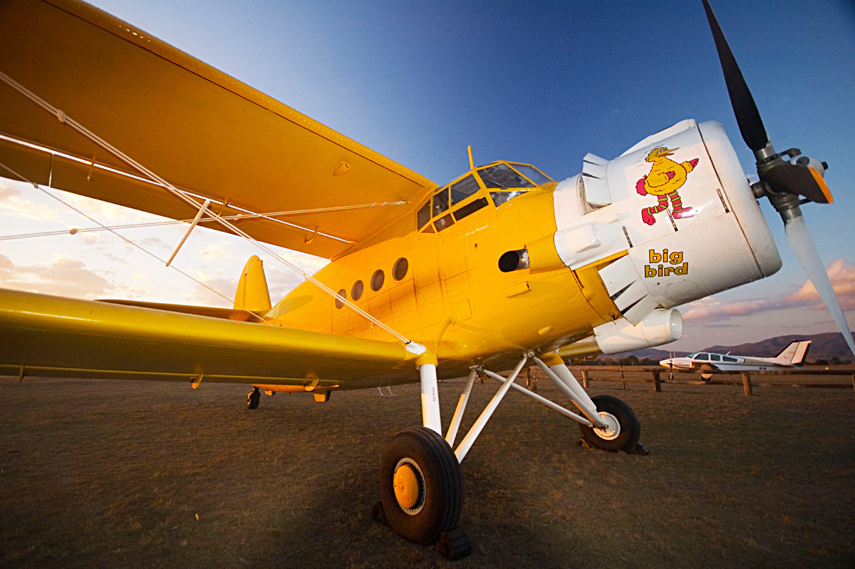 planes crop duster dusty