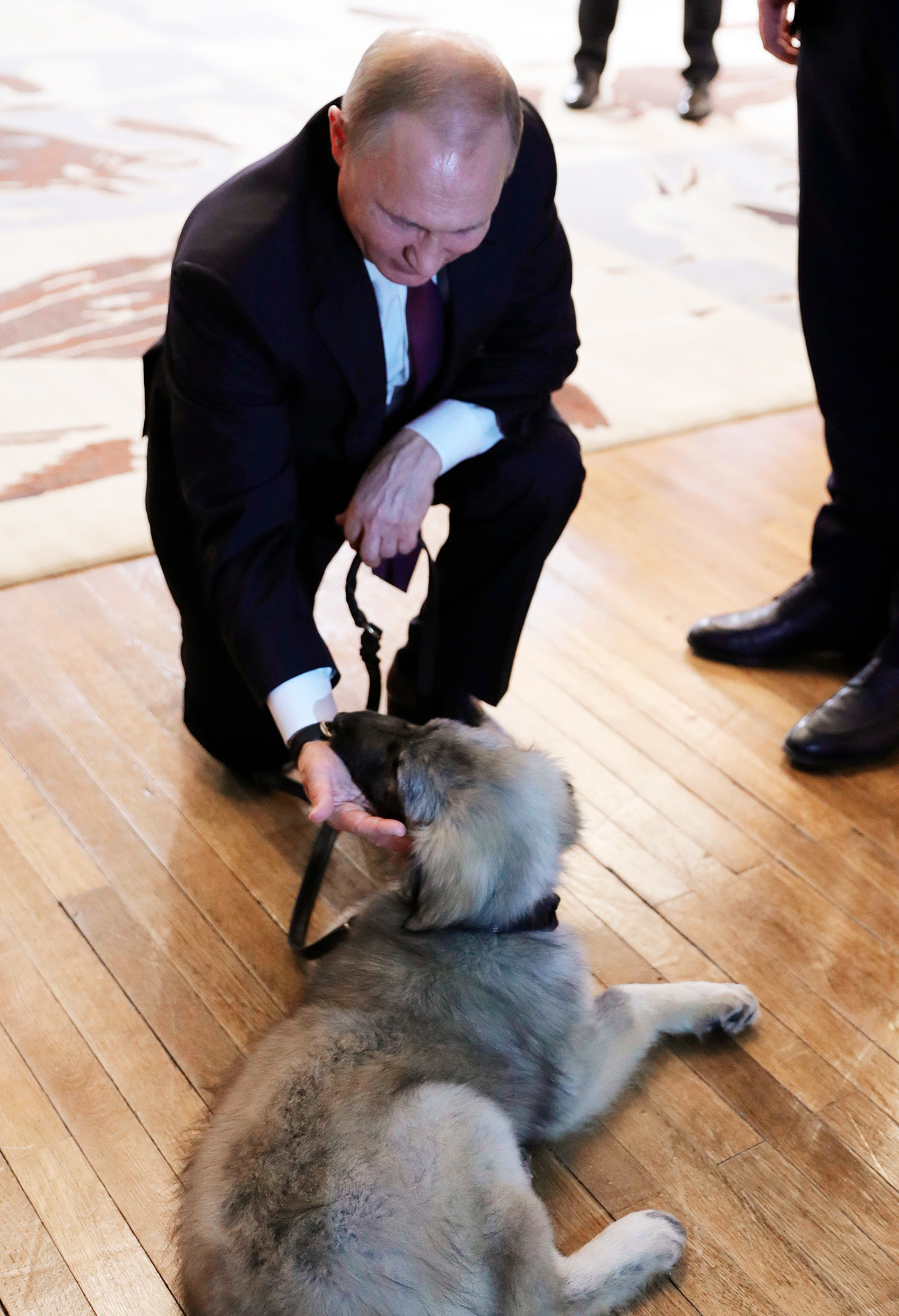 Putin gifted a dog by Serbia’s Vuchich Russia Beyond