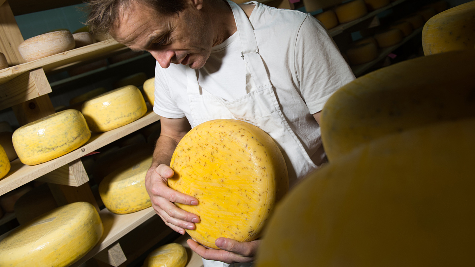 10 Russian Cheeses You Ve Got To Try Russia Beyond