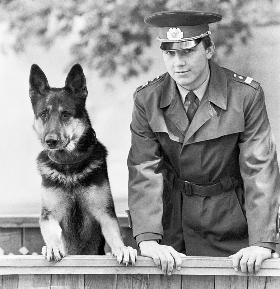 人類の最良の友 ロシアの警察犬と軍用犬 写真特集 ロシア ビヨンド