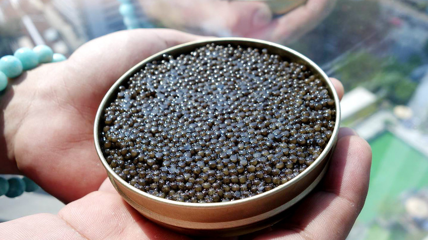 How Is Black Caviar Produced In Russia VIDEO Russia Beyond   5cb8796d85600a6eac7617d8 