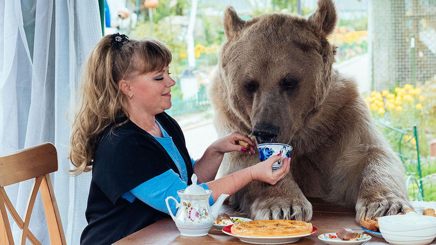 Cómo domesticar a un oso en casa Russia Beyond ES