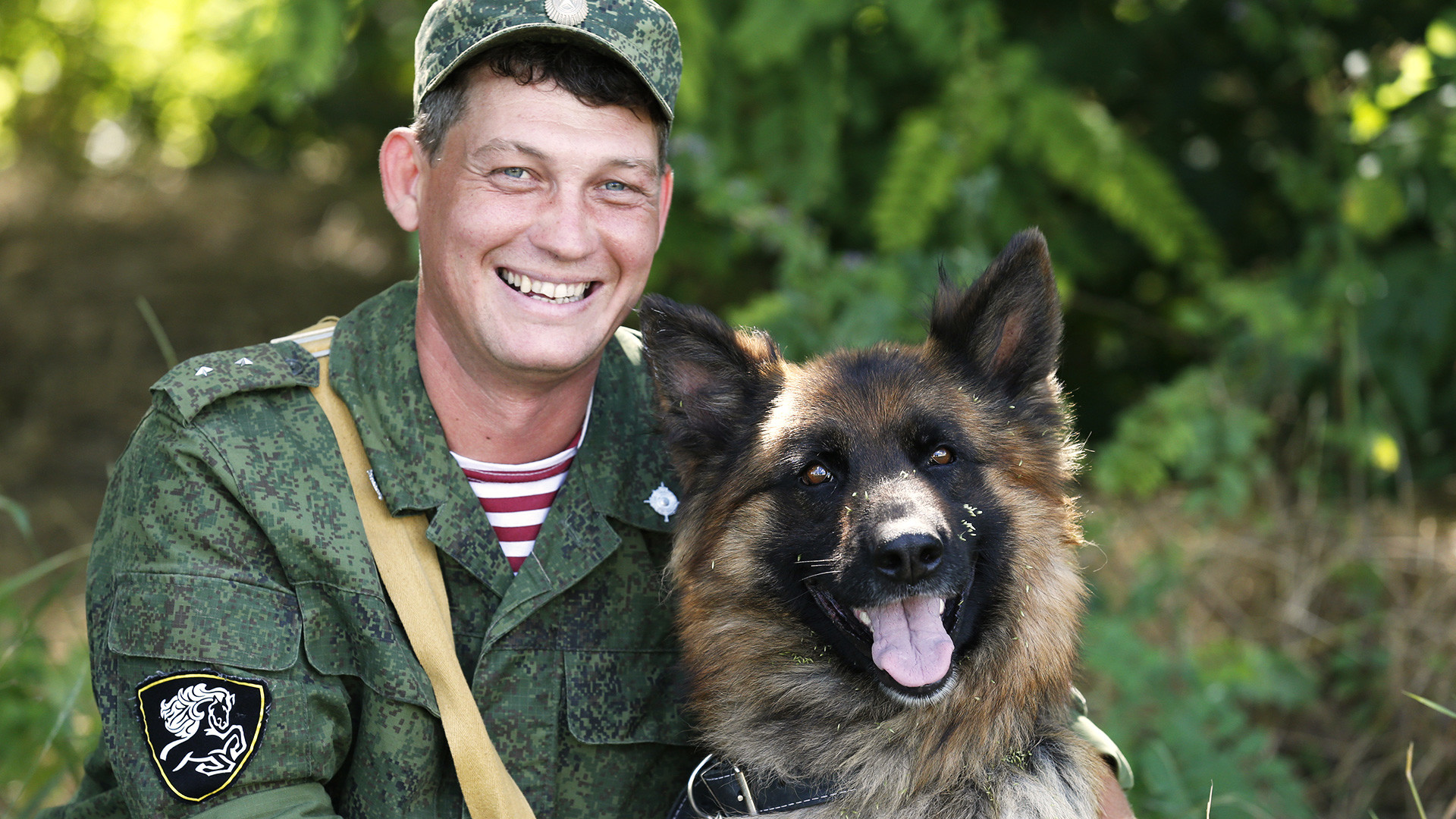 russian german shepherd dog