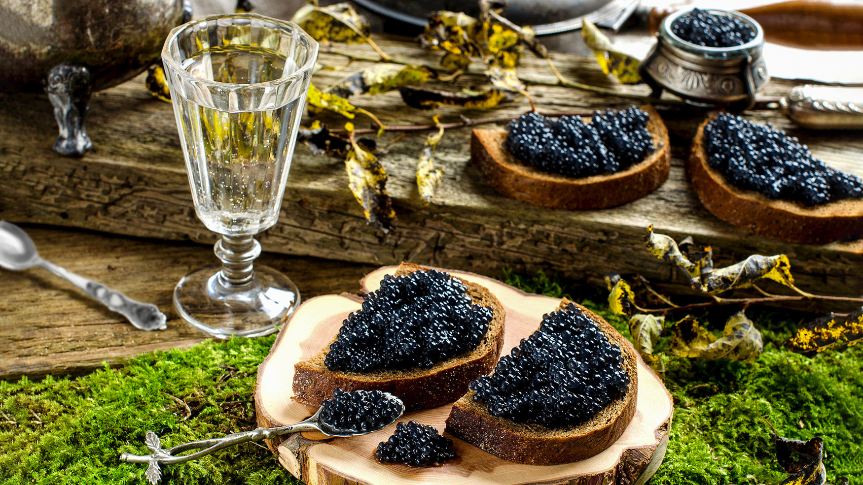 ロシア以外の地で生まれたロシア料理 ロシア ビヨンド