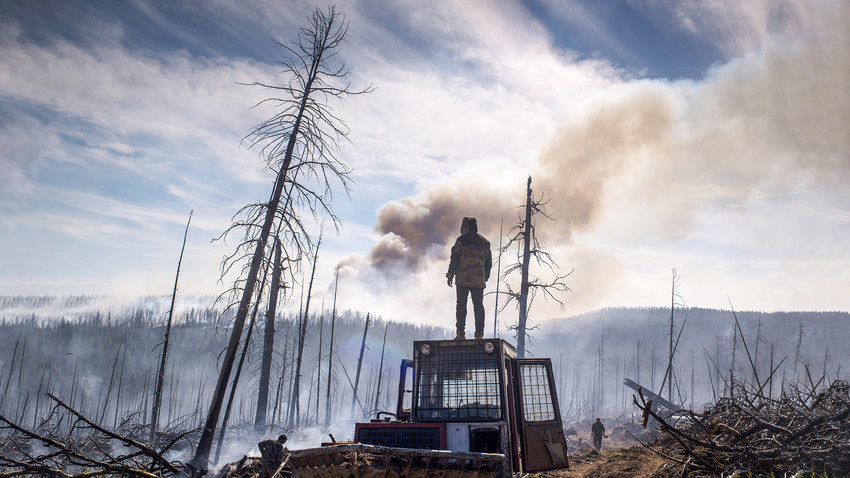 Dans Les Forêts De Sibérie Papystreaming Incendies en Sibérie: pourquoi la Russie a tardé à réagir face aux feux