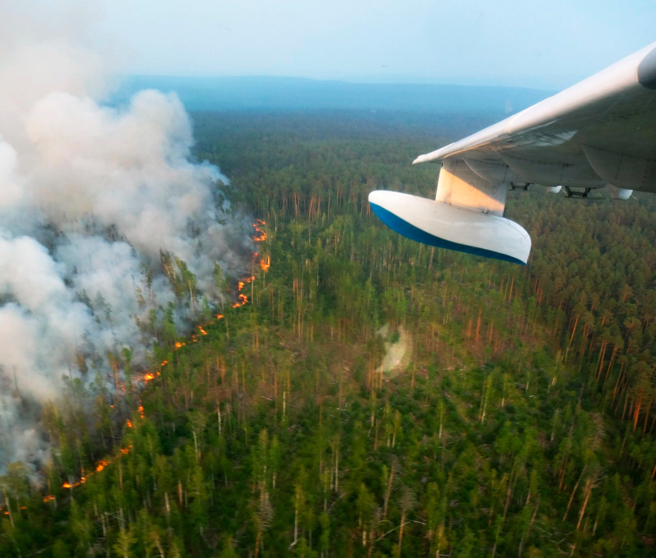 Incendios Forestales En Siberia Una Prioridad Después De La