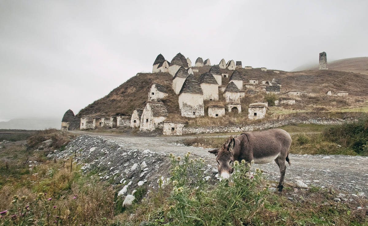The Republic of North Ossetia – Alania 