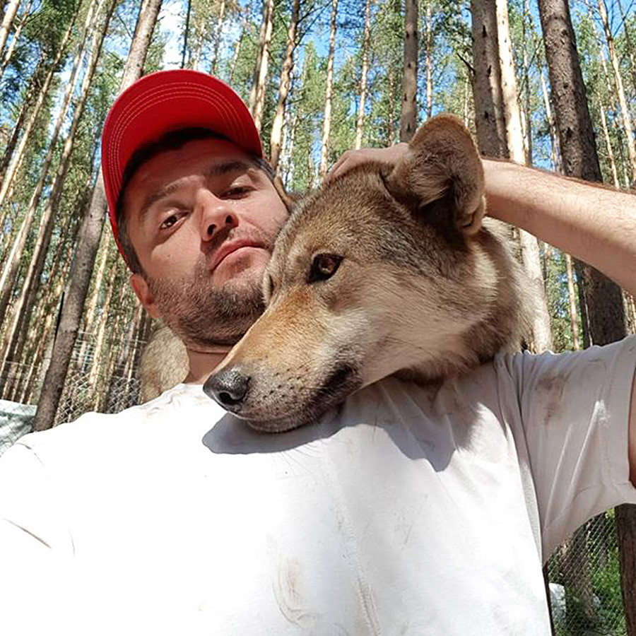 オオカミと暮らすロシアのビジネスマン ロシア ビヨンド