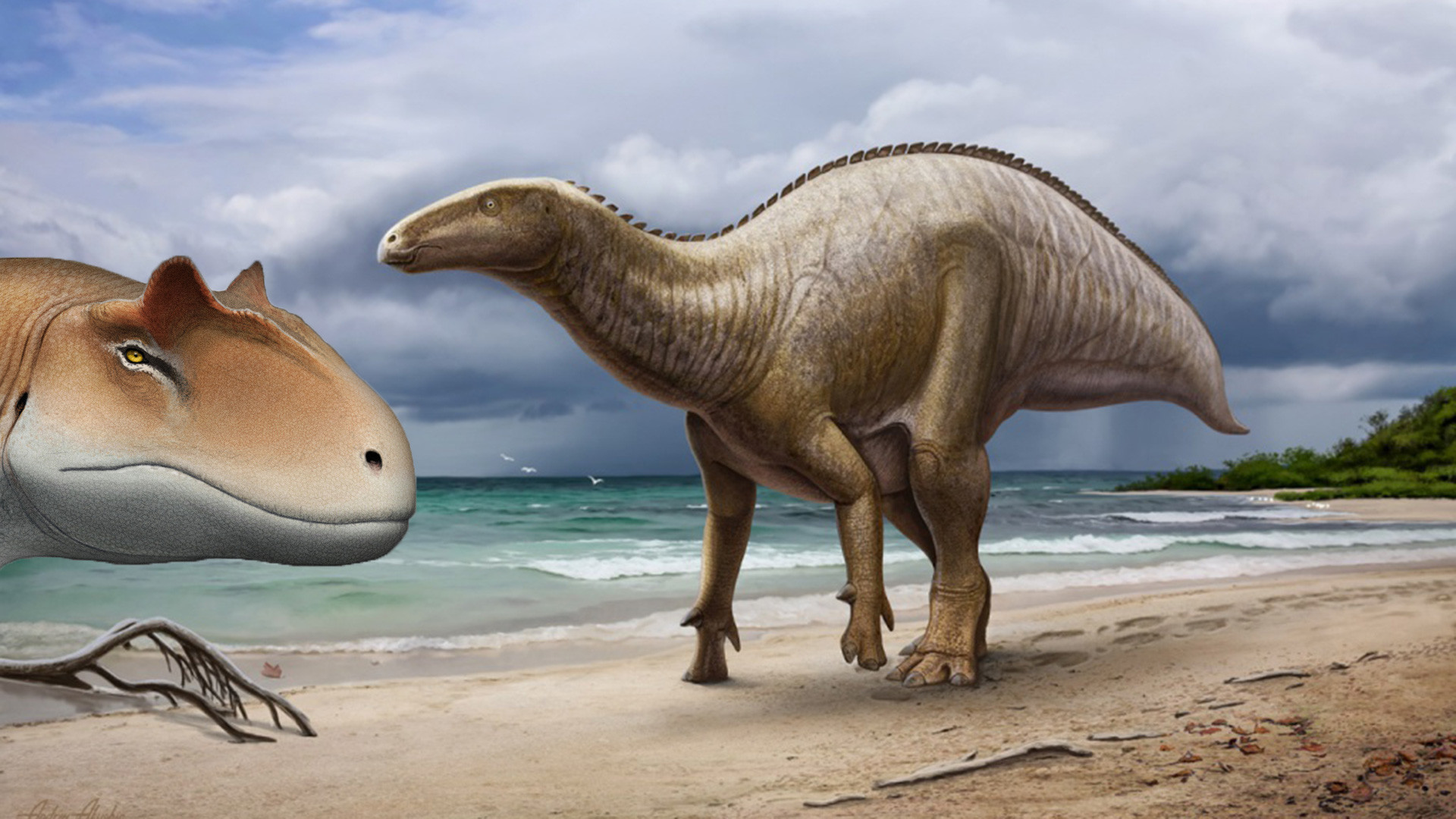 Как Выглядит Динозавры Фото