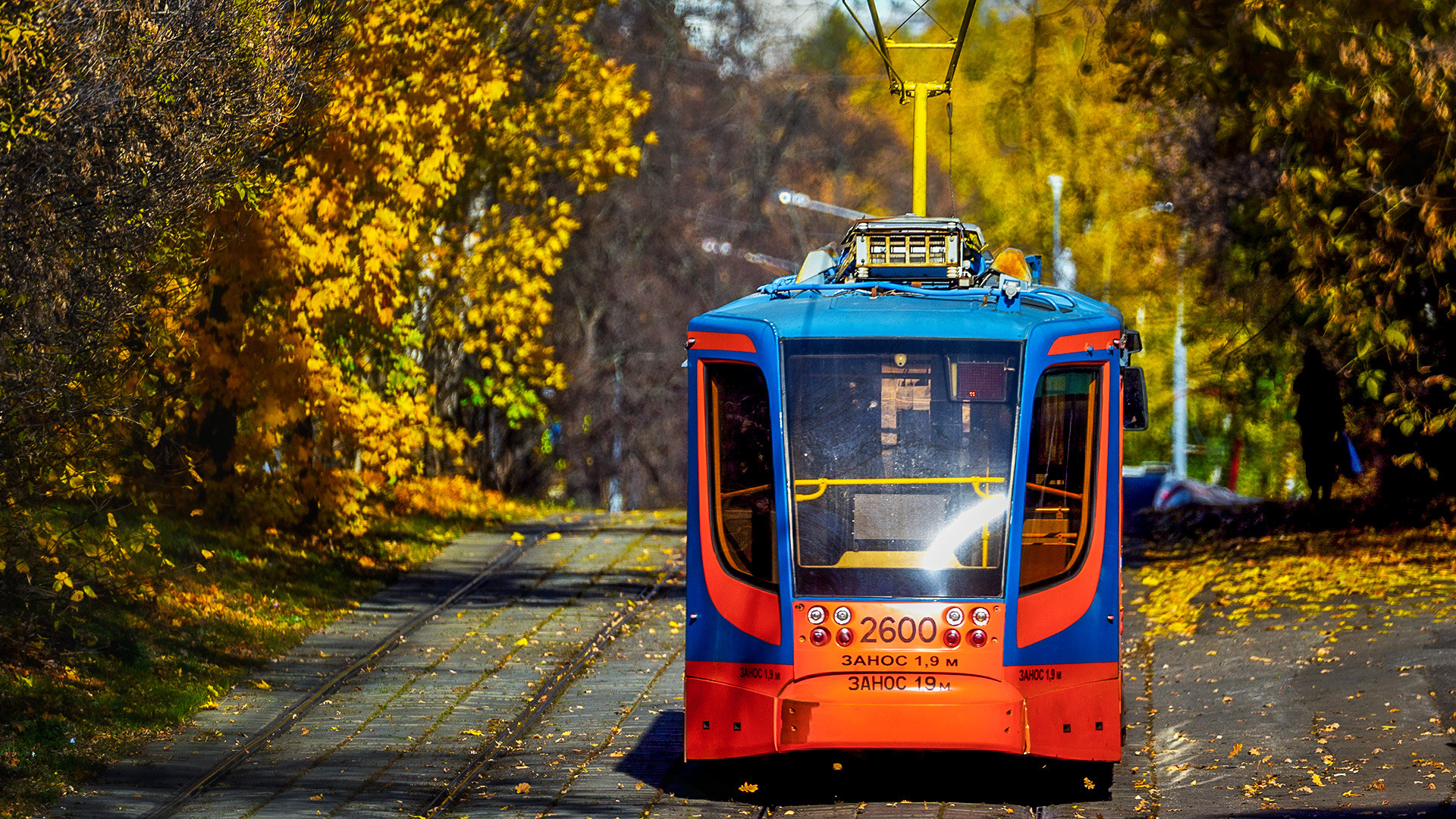 на каком автобусе можно посмотреть москву