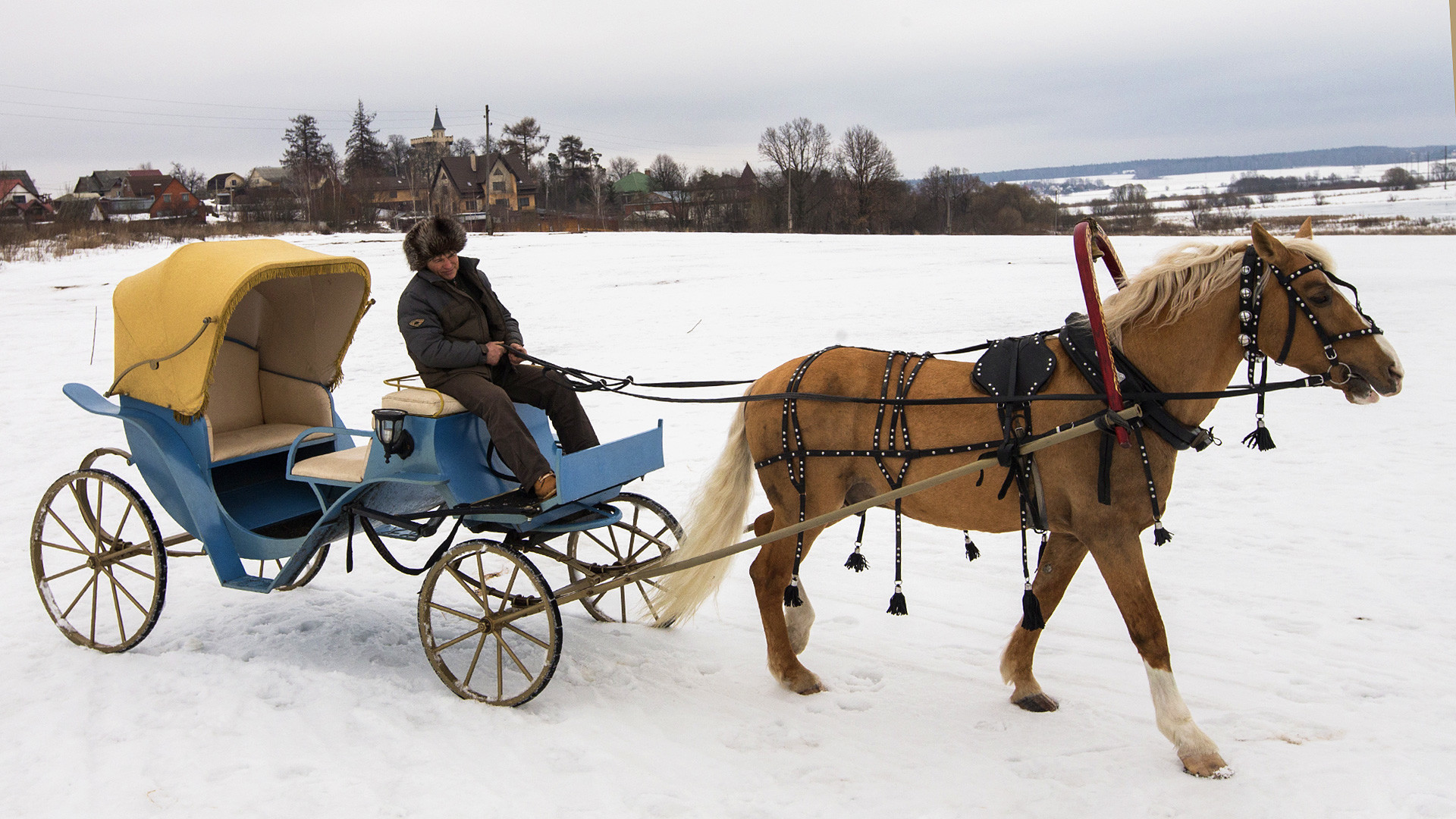 ロシアで馬車やその他のレトロな車両はどのように作られているか ロシア ビヨンド