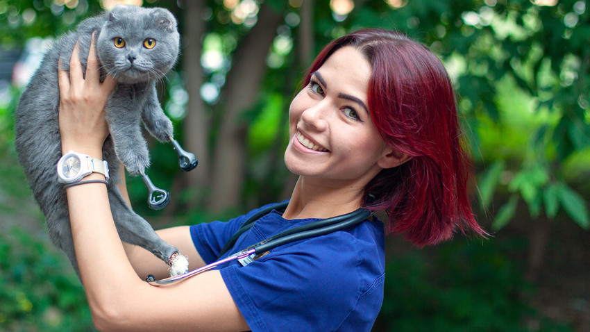 Un Chat Siberien Ampute Des Pattes Se Fait Greffer Quatre Protheses Imprimees En 3d Russia Beyond Fr