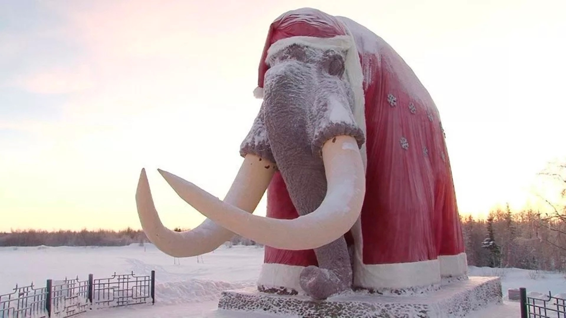 The idea of recovering mammoth DNA doesn't seem so crazy anymore.