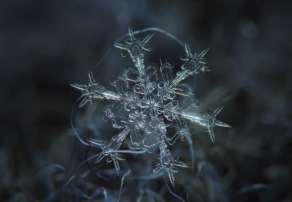 マクロで撮った雪の結晶（写真特集） - ロシア・ビヨンド