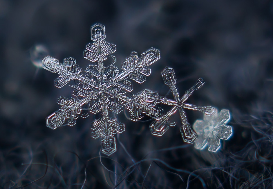 マクロで撮った雪の結晶（写真特集） - ロシア・ビヨンド