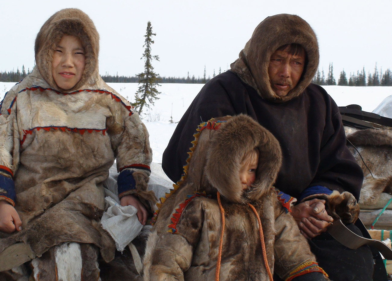 Família de nenets
