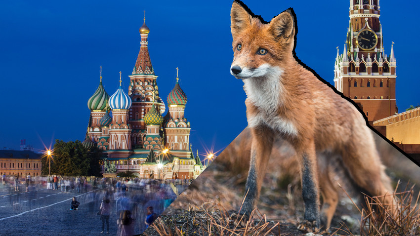 ¿Por qué los rusos aman su país? Russia Beyond ES