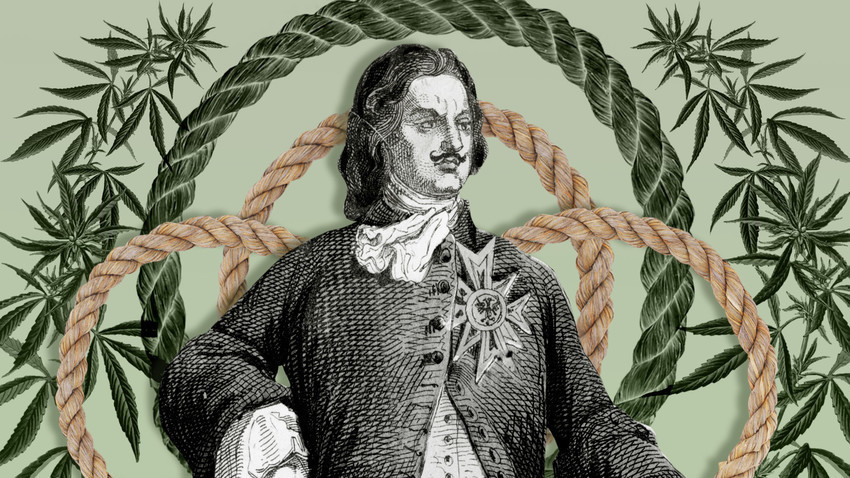 Peter the Great knew how to use the plant for his material, not spiritual, needs. 