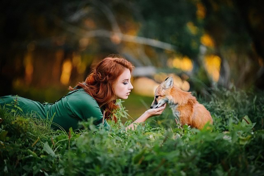 シベリアの遺伝学研究者はどのようにしてキツネをペットにしたのか ロシア ビヨンド