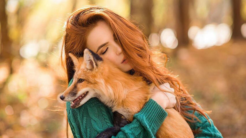 Comment Des Geneticiens Siberiens Ont Domestique Le Renard Russia Beyond Fr