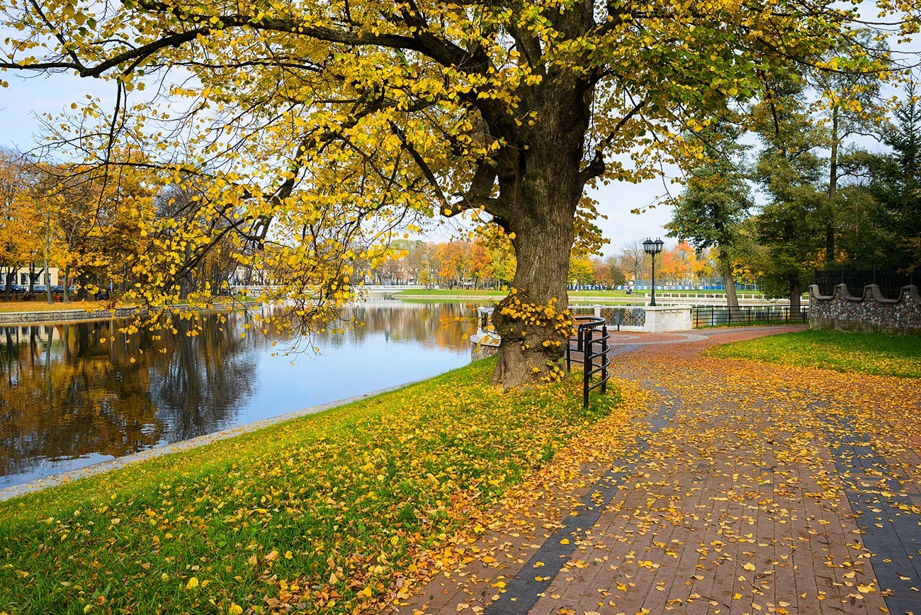 L  automne  dor  de Russie  en de captivantes photographies 