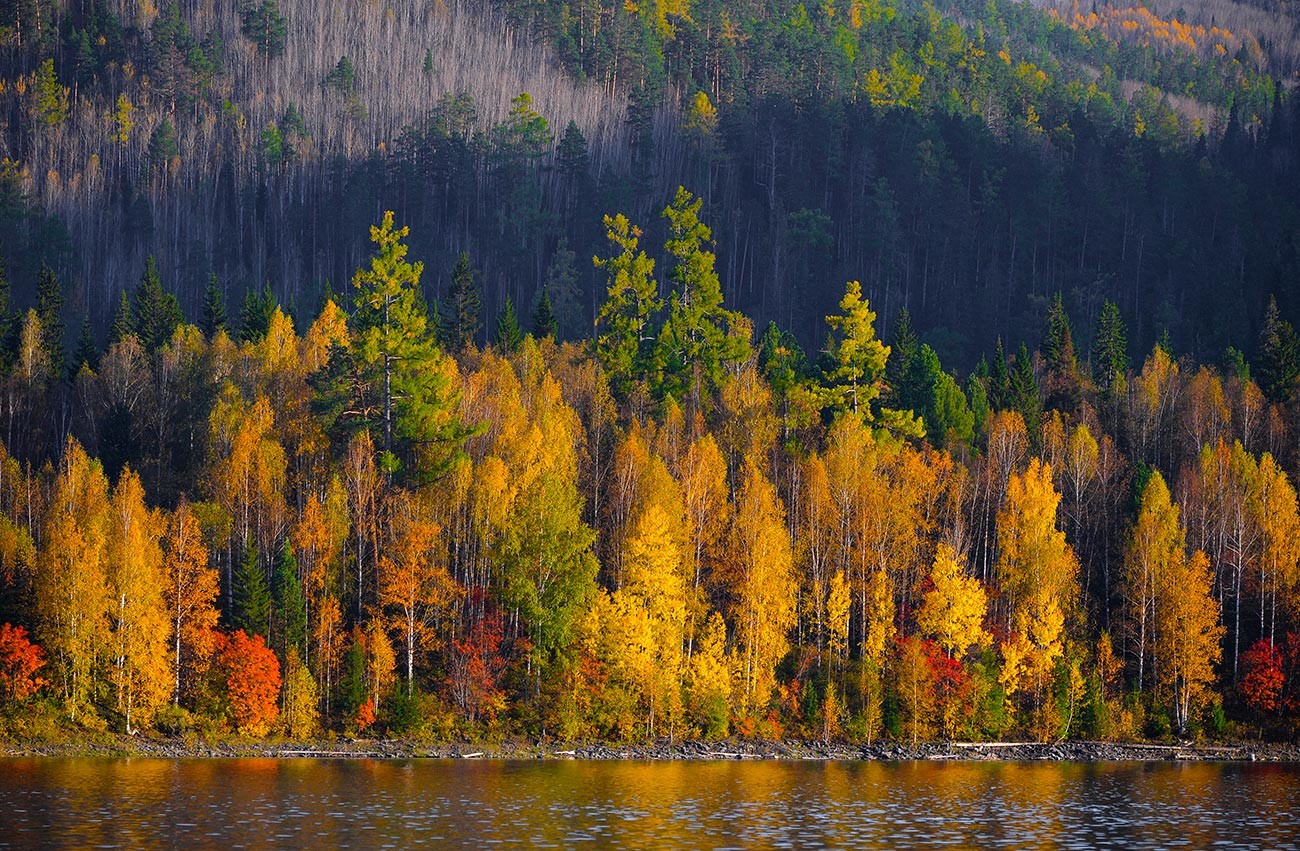 L  automne  dor  de Russie  en de captivantes photographies 