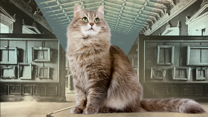 5f7b0b2f15e9f945d725149e