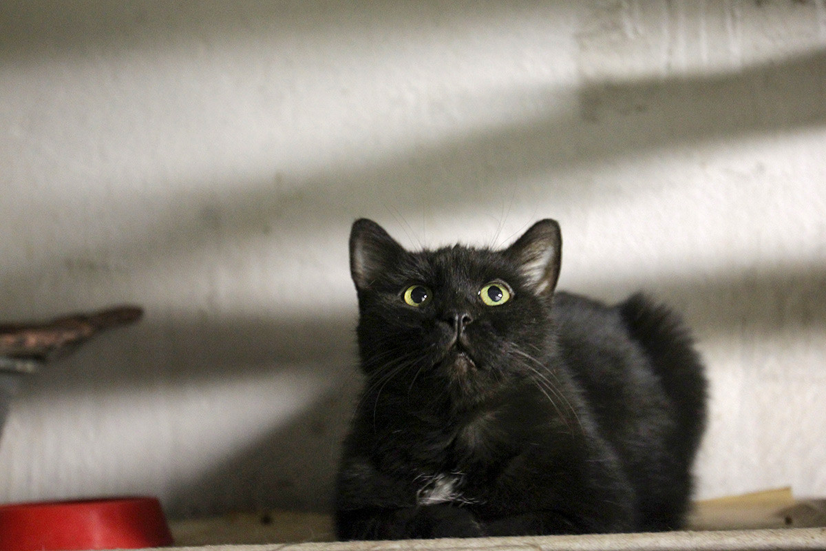 5f7b0c3685600a6b21381fd1