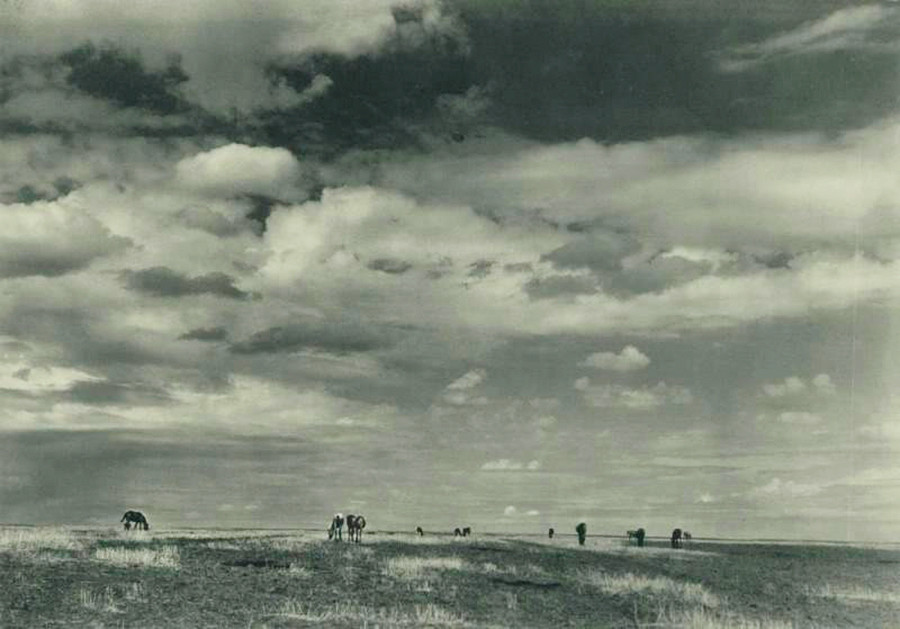 Steppe ukrainienne
